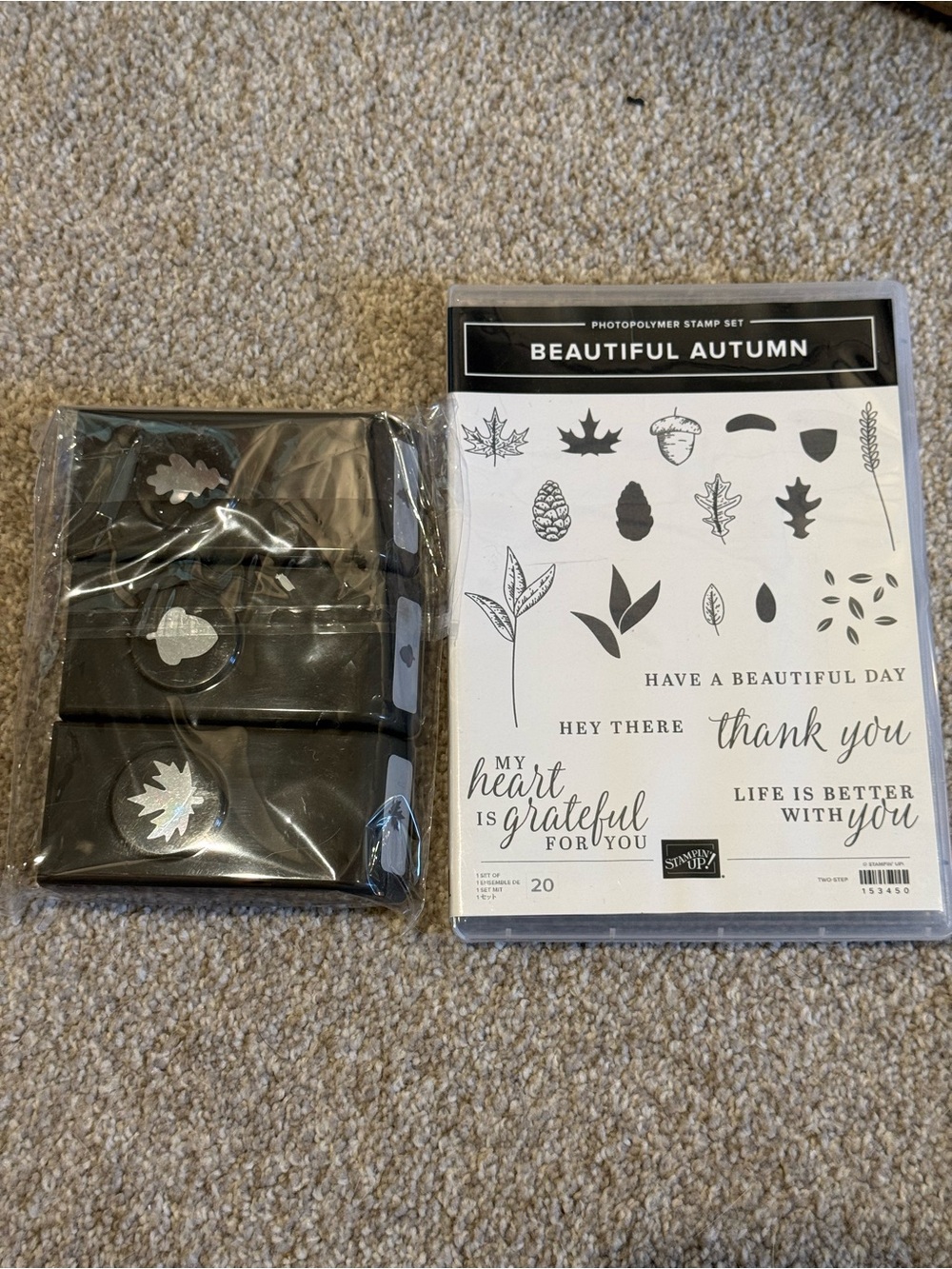 Stampin’ Up! Beautiful Autumn Stamp Set & Autumn Punch Pack Bundle